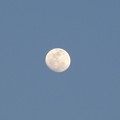 写真: もうすぐ満月