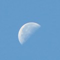 写真: 下弦の月