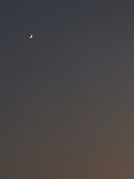 写真: 三日月と金星