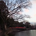元日の早水神社