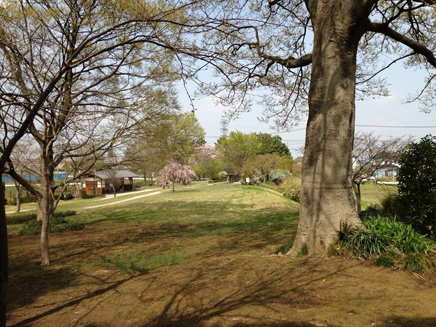 写真: 13.04.05.石田堤史跡公園。ガード北側、北。