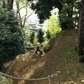 写真: 木曽呂の富士塚（川口市）