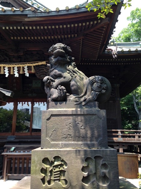 写真: 荏原神社（北品川）の狛犬・阿。