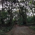 写真: 沼尾神社（鹿島神宮境外摂社）