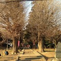 写真: 河越城 三芳野神社