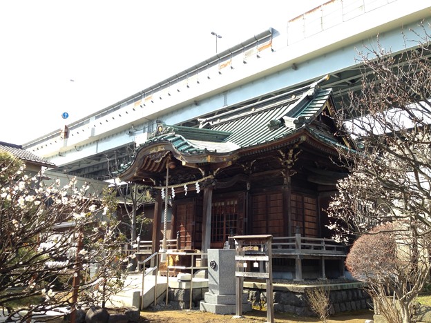 写真: 隅田川神社（墨田区堤通2）