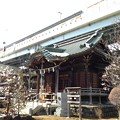 隅田川神社（墨田区堤通2）