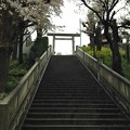 Photos: 14.04.03.簸川神社（文京区）