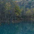 写真: 晩秋の青い池