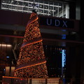 写真: アキバ　UDX'クリスマスイルミネーション 2013
