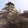 大阪城　桜　2008　0014