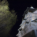 写真: 大阪城　桜　2008　0029