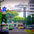 熊本市役所・中央区役所前の電車通り。