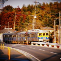 写真: 合志市須屋を走るきくち電車。