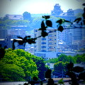 立田山から眺めた熊本城。