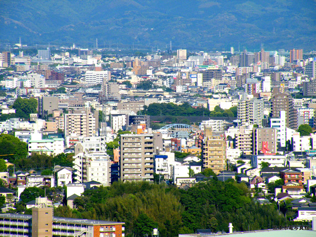 写真: 本妙寺山から眺めた子飼橋。