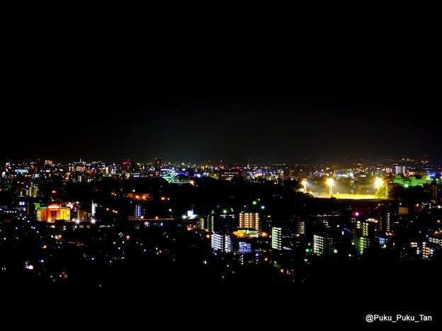 本妙寺山から眺めた熊本市街地の夜景。