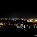 写真: 本妙寺山から眺めた熊本市街地の夜景。