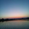 写真: 田んばで一番好きなのは夕暮れ時。 この青空と夕焼けと黄昏れ色が絶...