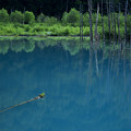 写真: The Blue Pond