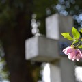 花と墓標