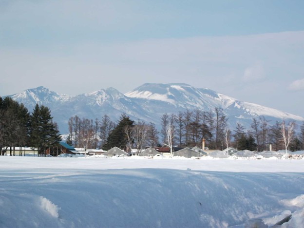 写真: 雪・長野支場からの浅間山