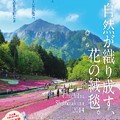 写真: 秩父芝桜の丘ポスター