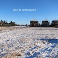 写真: 雪景色04