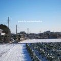 写真: 雪景色15