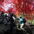 写真: IMG_9356大山登山と紅葉