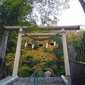 写真: 131029-2　伊香保神社の鳥居