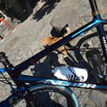 写真: 自転車とネコ