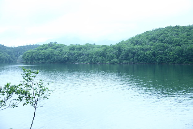 写真: 志賀高原　琵琶池(3)