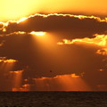 写真: 夕陽と光芒　日本海に降り注ぐ