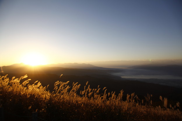写真: 信州　高ボッチ山　日の出とススキ　諏訪湖