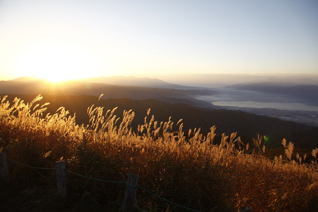 写真: 信州　高ボッチ山から　日の出とススキ