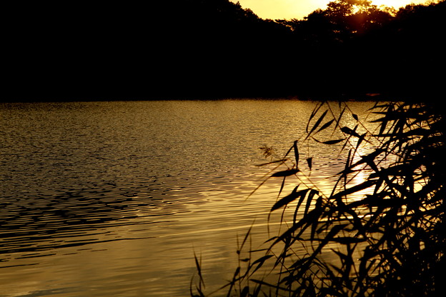 写真: 志賀高原　丸池の夕暮れと夕日