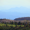 写真: 紅葉とアルプスの山並み