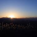 高ボッチ高原から　日の出とススキ