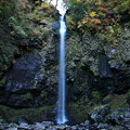 阿弥陀ヶ滝 (1)　　滝の上の紅葉