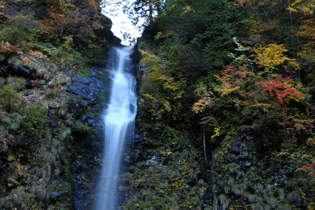 写真: 紅葉の阿弥陀ヶ滝 (2)