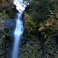 写真: 紅葉の阿弥陀ヶ滝 (2)