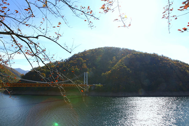 写真: 九頭竜湖と箱ヶ瀬橋(夢のかけはし）