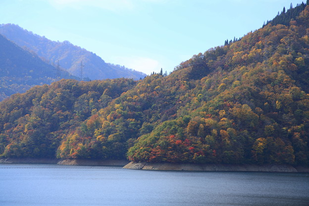 写真: 九頭竜湖(5)　紅葉
