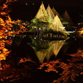 霞ヶ池　唐崎の松　紅葉とライトアップ(2)
