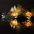 Photos: 霞ヶ池　ライトアップ　蓬莱島と唐崎の松