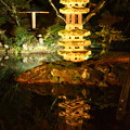 Photos: 兼六園　瓢池の海石塔　ライトアップ