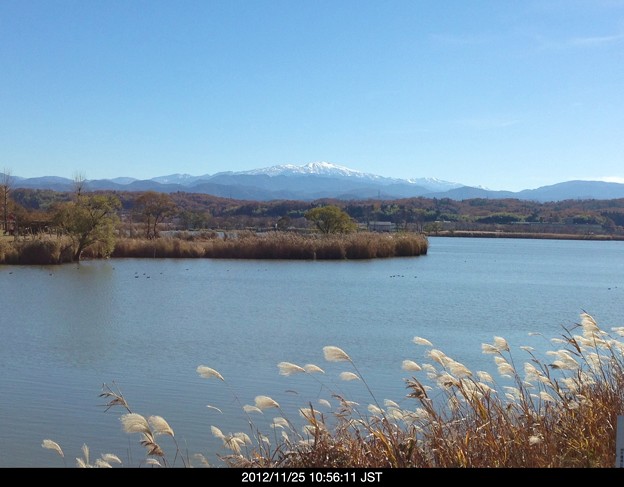 写真: iPhone5から投稿　晩秋の木場潟から 白山
