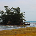 写真: 恋路海岸　　弁天島と海に鳥居