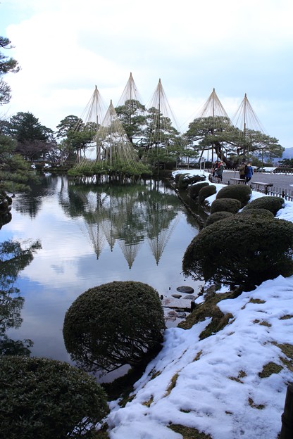 写真: 唐崎の松と霞ヶ池